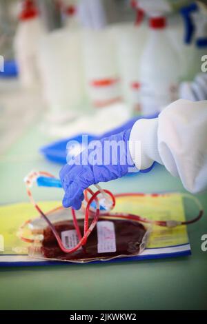 Biobanque stockant les cellules souches du sang et du tissu de cordon. Banque D'Images