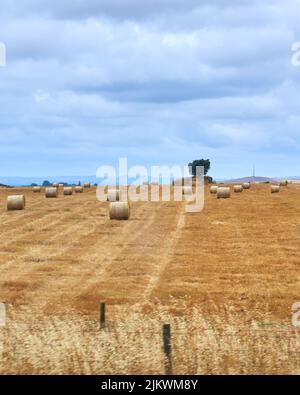 A beautiful shot of Straw rolls in the field during the agricultural harvest of wheat on a sunny day under a cloudy blue sky Stock Photo