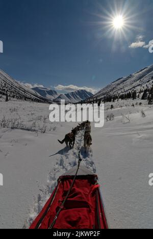 Une équipe de chiens de traîneau se déplaçant dans la neige de la vallée alpine jusqu'au soleil Banque D'Images