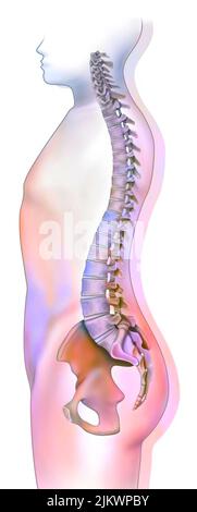 Silhouette d'un homme en profil avec colonne vertébrale. Banque D'Images