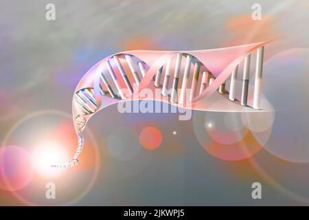 Double hélice de l'ADN avec les bases nucléotidiques : adénine, thymine, cytosine et guanine. Banque D'Images