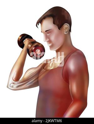 Utilisation des biceps et triceps pour le mouvement de flexion du bras. Banque D'Images