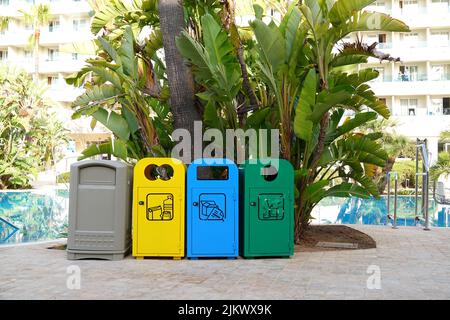 Picture shows different colored rubbish bins in front of palm trees and a pool Stock Photo