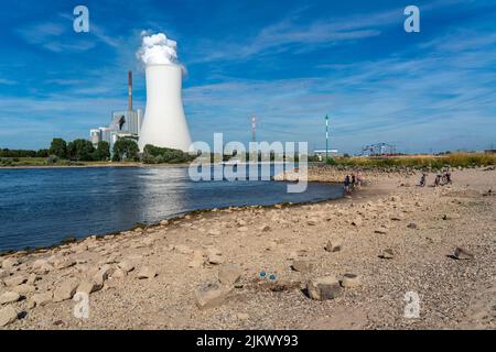 Niveau d'eau bas sur le Rhin, les berges tombent sèches, le transport maritime ne peut naviguer qu'avec des chargements et une vitesse réduits, Duisburg-Walsum, centrale au charbon Walsum, NRW Banque D'Images