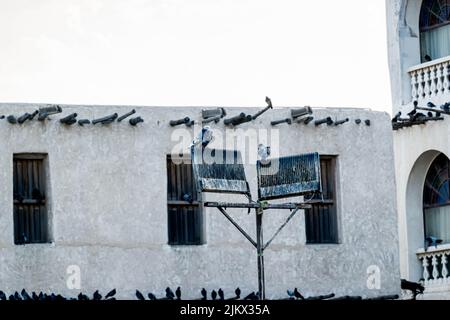 Many birds near the buildings in Souq Waqif marketplace in Doha, in the state of Qatar Stock Photo