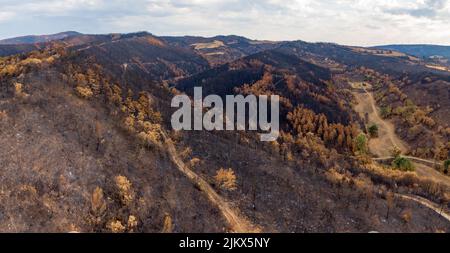 Vue aérienne d'une zone brûlée par le feu. Forêts et champs de cultures détruits par le feu. Navarre, Espagne. Banque D'Images