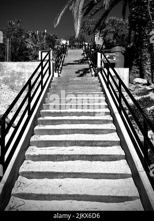 A vertical of stairs with metallic handrails near palm trees shot in grayscale Stock Photo