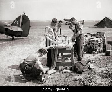 L'équipage et les armuriers remplissent les ceintures de munitions avec .303 balles par Hawker Hurricane Mark est de l'escadron no 85 RAF à Lille-Seclin, France. L'avion de chasse britannique monoplace a combattu dans tous les grands théâtres de la Seconde Guerre mondiale. Banque D'Images