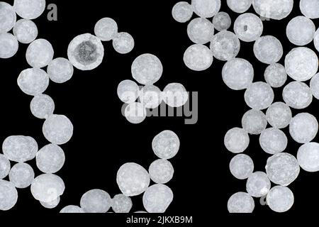 Billes d'hydroxyde de sodium ou lye - gros plan sur les granules blancs, largeur de l'image 19mm Banque D'Images