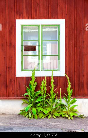 Détail extérieur d'une maison en bois typique suédoise peint dans la couleur faulée, Falun, Dalarna, Suède Banque D'Images