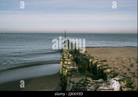 The view of the wooden logs on the shore against the background of the North Sea. Stock Photo