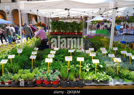 VICENZA, ITALIE -14 avril 2022- vue sur le marché annuel des fleurs en avril à Vicenza, Vénétie, Italie, site classé au patrimoine mondial de l'UNESCO. Banque D'Images