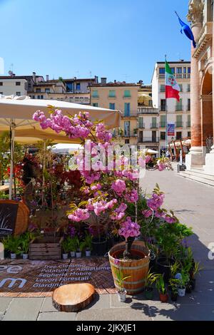 VICENZA, ITALIE -14 avril 2022- vue sur le marché annuel des fleurs en avril à Vicenza, Vénétie, Italie, site classé au patrimoine mondial de l'UNESCO. Banque D'Images