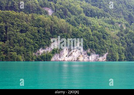 The beautiful view of Lake Brienz and the green shore. Interlaken, Switzerland. Stock Photo