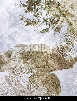 A reflection of an umbrella and the upper body of the person who carried it in rainwater Banque D'Images