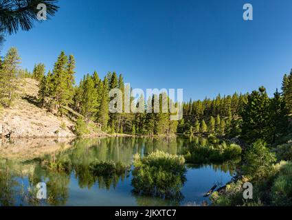 L'eau calme traverse une rivière dans le nord de la Californie près de Truckee. Banque D'Images