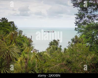 Péniche sur la mer. Vue sur la mer parmi les arbres. Navire marchand sur la mer Noire. Le navire navigue Banque D'Images