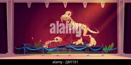 Exposition au musée historique avec squelettes de dinosaures. Illustration vectorielle de l'intérieur du musée de paléontologie avec des os d'animaux préhistoriques, un dino fossile éteint sur des pierres et de l'herbe Illustration de Vecteur