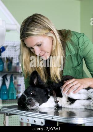 NATASHA HENSTRIDGE, VOTRE CHIEN CHANCEUX, 2010 Banque D'Images