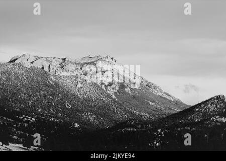 A grayscale shot of snow-capped mountains above a pine forest in winter Stock Photo