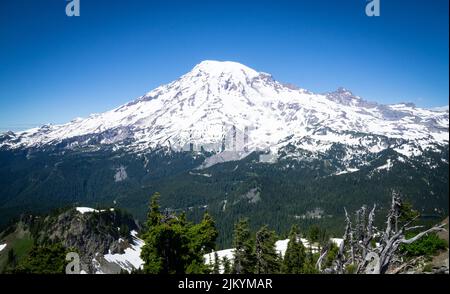 Mt. Rainier au loin sur la piste Pinnacle Saddle Trail, Mt. Parc national de Rainier, Washington, États-Unis Banque D'Images