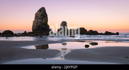 La mer des aiguilles s'empile le long de la plage à Cannon Beach, Oregon, à marée basse à l'aube Banque D'Images