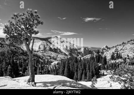 A grayscale shot of the snowy mountain landscape of Yosemite National Park in California Stock Photo