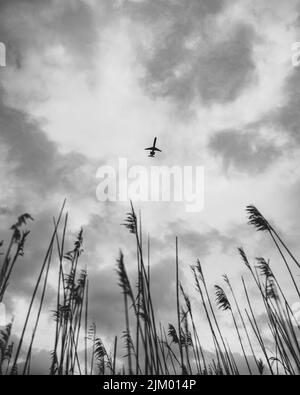 A vertical grayscale low angle shot of a plane flying high in the sky  above a field Stock Photo