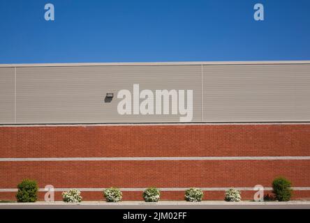 Arbustes fleuris dans la bordure à côté du mur de briques extérieur du bâtiment industriel au printemps. Banque D'Images