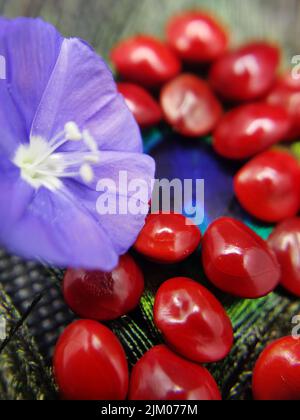 A vertical closeup of red seeds next to a purple flower on top of a peacock feather Stock Photo