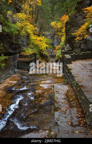 A vertical shot of a hiking fath through Robert H Treman State Park, New York in the fall Stock Photo