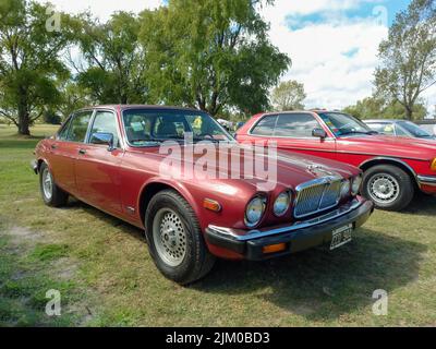 Chascomus, Argentine - 9 avril 2022 : berline quatre portes Jaguar XJ6 série 3 rouge marron 1979 - 1992 garée sur l'herbe. Arbres de la nature en arrière-plan. C Banque D'Images