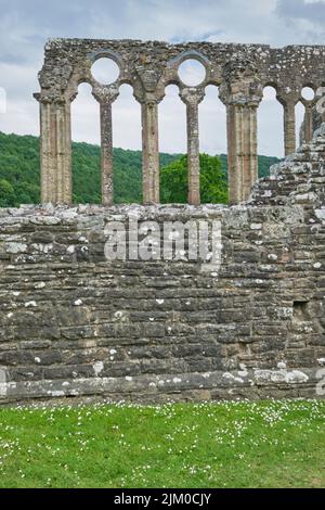 Vue sur les ruines de l'un des bâtiments avec une rangée de colonnes supportant des fenêtres rondes. À Tintern Abby près de Chepstow, pays de Galles, Royaume-Uni. Banque D'Images