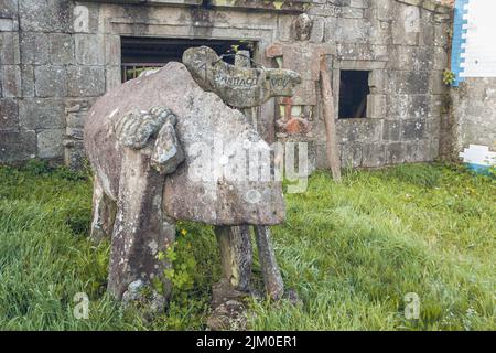 Le panneau pour la route de Santiago en Galice rurale, Espagne Banque D'Images