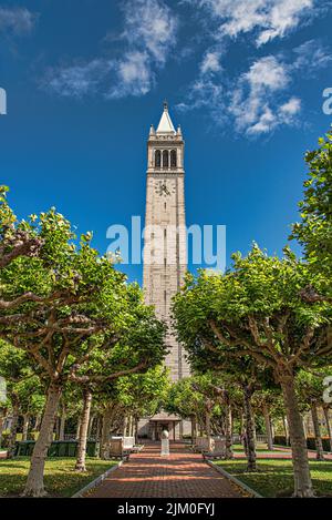 A vertical shot of the northern aspect of the Campanile (Sather Tower) at UC Berkeley against blue sky Stock Photo