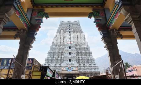 Vue de face de l'entrée principale du temple d'Arunachalam Gopuram, Tiruvannamalai, Tamilnadu, Inde. Banque D'Images