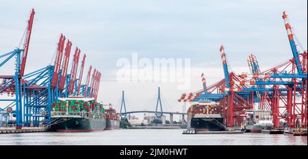 Hambourg, Allemagne. 02nd août 2022. Le terminal de conteneurs HLA Burchardkai (l) et le terminal de conteneurs Eurogate Hamburg (r) sont situés l'un en face de l'autre à Waltershofer Hafen Credit: Markus Scholz/dpa/Alay Live News Banque D'Images