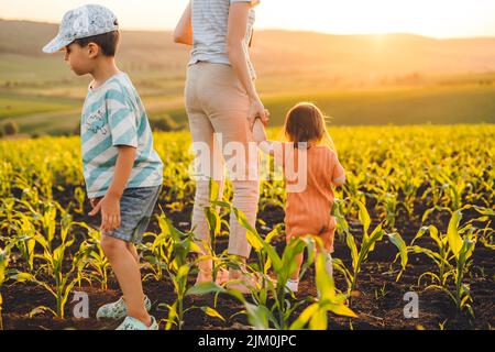 Jeune famille de trois membres lors d'une promenade matinale d'été dans le cornfield. Voyagez en toute liberté. Un mode de vie sain. Banque D'Images