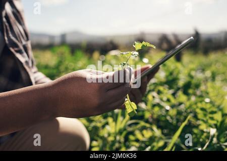 Un petit appareil qui donne de gros résultats. Un homme méconnaissable utilisant une tablette numérique tout en travaillant sur une ferme. Banque D'Images