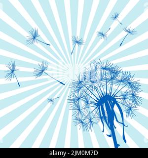 Pissenlit bleu avec des graines volantes sur un fond ensoleillé Illustration de Vecteur