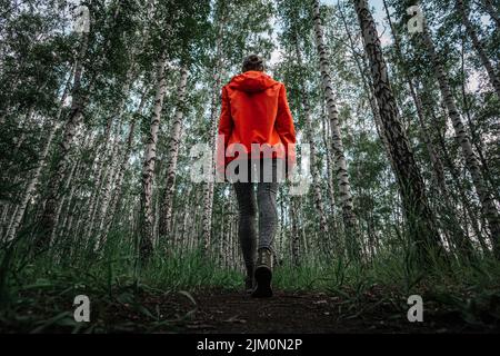 Une jeune fille dans une veste orange marche à travers une forêt de bouleau parmi de grands arbres, une vue de dessous. Promenades d'été dans le parc. Banque D'Images