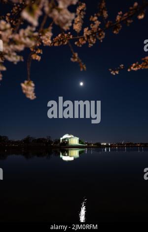 The full moon over the Tidal Basin and Jefferson Memorial during peak bloom of the Cherry Blossoms. Banque D'Images