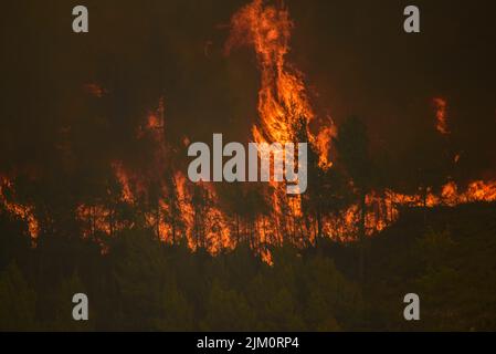 Feu sauvage d'El Pont de Vilomara, sur 17 juillet 2022, qui a brûlé 1 743 hectares de végétation (Bages, Barcelone, Catalogne, Espagne) Banque D'Images