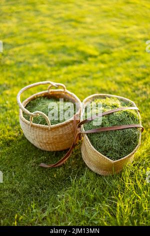 Faucher de l'herbe dans des paniers de paille Banque D'Images