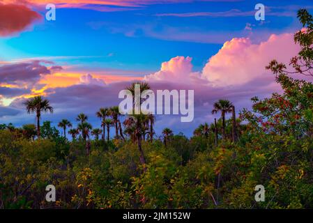 Coucher de soleil coloré sur le parc national des Everglades en Floride Banque D'Images