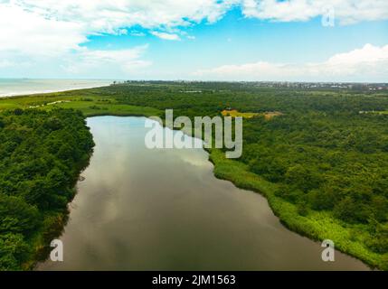 Vue aérienne sur le lac dans le parc national de Kolkheti après la pluie en été Banque D'Images