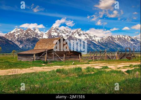 Barn historique de John Molton à Mormon Row dans le parc national de Grand Teton, Wyoming Banque D'Images