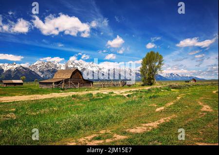 Barn historique de John Molton à Mormon Row dans le parc national de Grand Teton, Wyoming Banque D'Images