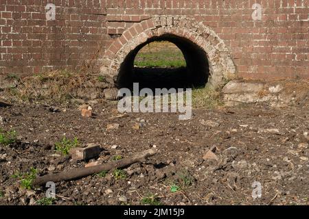 Dorney, Buckinghamshire, Royaume-Uni. 4th août 2022. Une partie du ruisseau Roundmoor Ditch sur Dorney Common a complètement séché. Après des semaines sans pluie et sans prévision pour l'avenir prévisible, le manque de pluie devient très grave maintenant pour la communauté agricole. Crédit : Maureen McLean/Alay Live News Banque D'Images