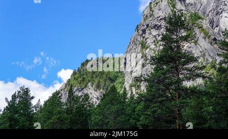 De grandes collines cachées derrière un parrest vert frais avec un ciel bleu dans la nature de paysage d'arrière-plan Banque D'Images